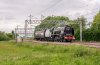 DSC_8769 46233 Heamies  020617.JPG