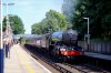 60103 worp 3-06-17.JPG