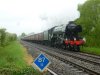 60103 1Z82 Sal-Sal  210516 5.JPG