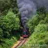 DSC_3638hr-0.jpg
