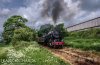 DSC_3722hr-0.jpg