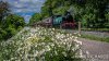 DSC_3974-0.jpg