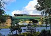 2017-06-09 Flying Scotsman Imperial Wharf.jpg