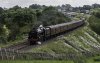 Dalesman 46115 1b.jpg