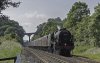 Dalesman 46115 2b.jpg