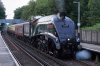60009 worp 20-06-17.JPG