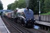 60009 worp2 20-06-17.JPG