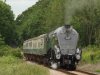 60009, 62 & 9466, Mid Norfolr Rly. Gala 25 06 2017 067.jpg