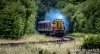 DSC_4574hr-0.jpg