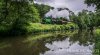 DSC_4674hr-0.jpg