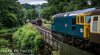 DSC_4403-0.jpg