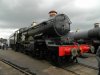 DSCN6977 (1024x768) (800x600) (2).jpg