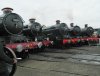 DSCN7060 (1024x781) (800x610).jpg
