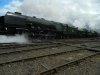 DSCN7084 (1024x768) (800x600).jpg
