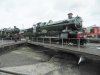 DSCN7063 (800x600).jpg