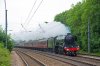 60103-2.jpg