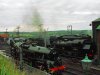 SDC18429.JPG