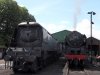 SDC18533.JPG