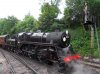 SDC18559.jpg