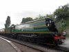 SDC18576.JPG