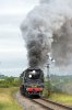 _DSC4746.jpg
