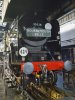 35028 at SL 04-17-17 (AF).jpg