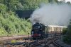 Clan Line Surbiton 1.jpg