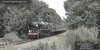 EoSS .005.jpg