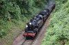 41312 76017 Hampshire Hunt 8.7.2017 mk2.jpg