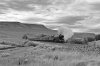 60103 b&w 6x4.jpg