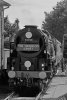 _IMG6818 b&w.jpg