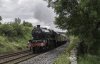 Fellsman 45690 3b.jpg