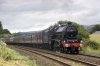 DSC_17930.jpg