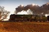 _DSR7937_DxO_2_01.JPG