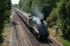 2017-07-18 60009 Brentford.jpg