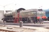 DSC04461.JPG
