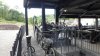 P1000660.JPG