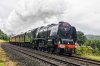 DSC_18009.jpg