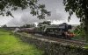Waverley 1b.jpg