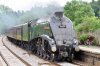 60009-7 Dunbridge 26072017.jpg