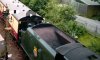 Scots Tender Par 06082017.jpg