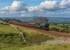 DSC_7188.jpg