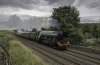 Waverley FS 2b 20.8.17.jpg