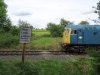 willowcrossingd5343.jpg