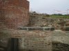 IMG_1455.jpg