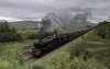 Waverley 45690 1b 27.8.17.jpg