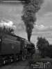 Didcot 60009.006.jpg