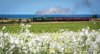 DSC_5895hr-0.jpg
