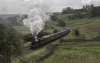 The Scenic Express 2b.jpg