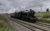 The Scenic Express 3b.jpg